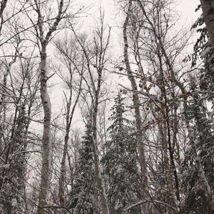 Meet your Posher, Gabrielle